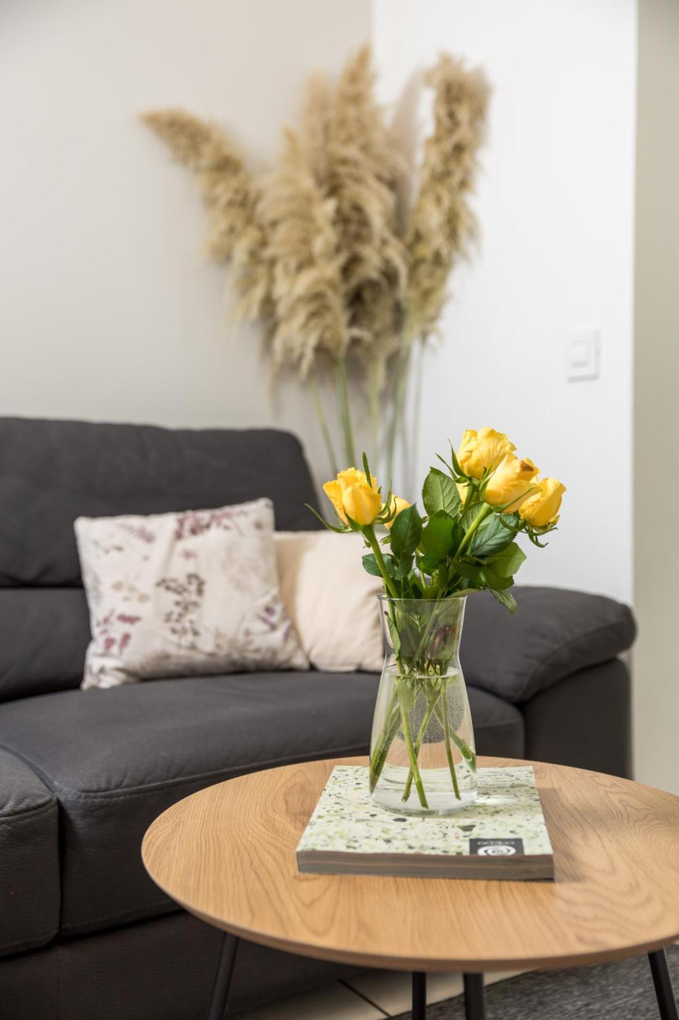 Apartment City Flower Rijeka Exterior photo